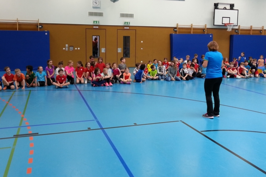 tl_files/dualingo_neu/News 2015 2016/Hochsprung_4.jpg